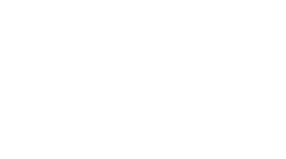 Avi Boston Logo Avi Boston Logo