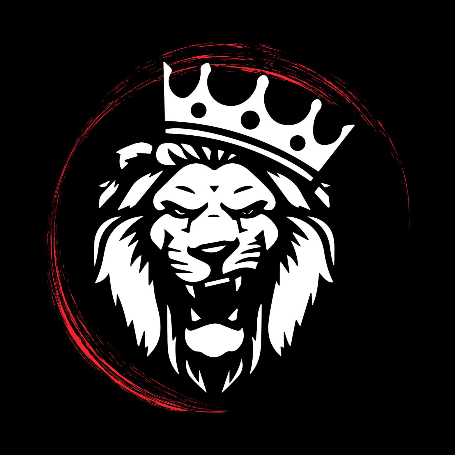 Detail Kingz Auto Care & Repair Logo Detail Kingz Auto Care & Repair Logo
