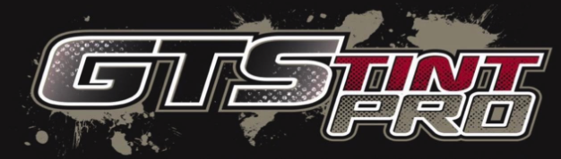 Gtstintpro Logo Gtstintpro Logo